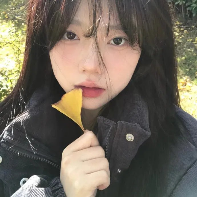 狗狗人生