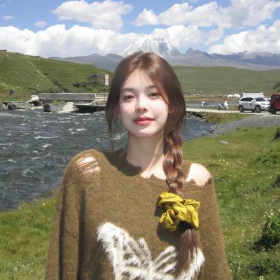决战芝加哥